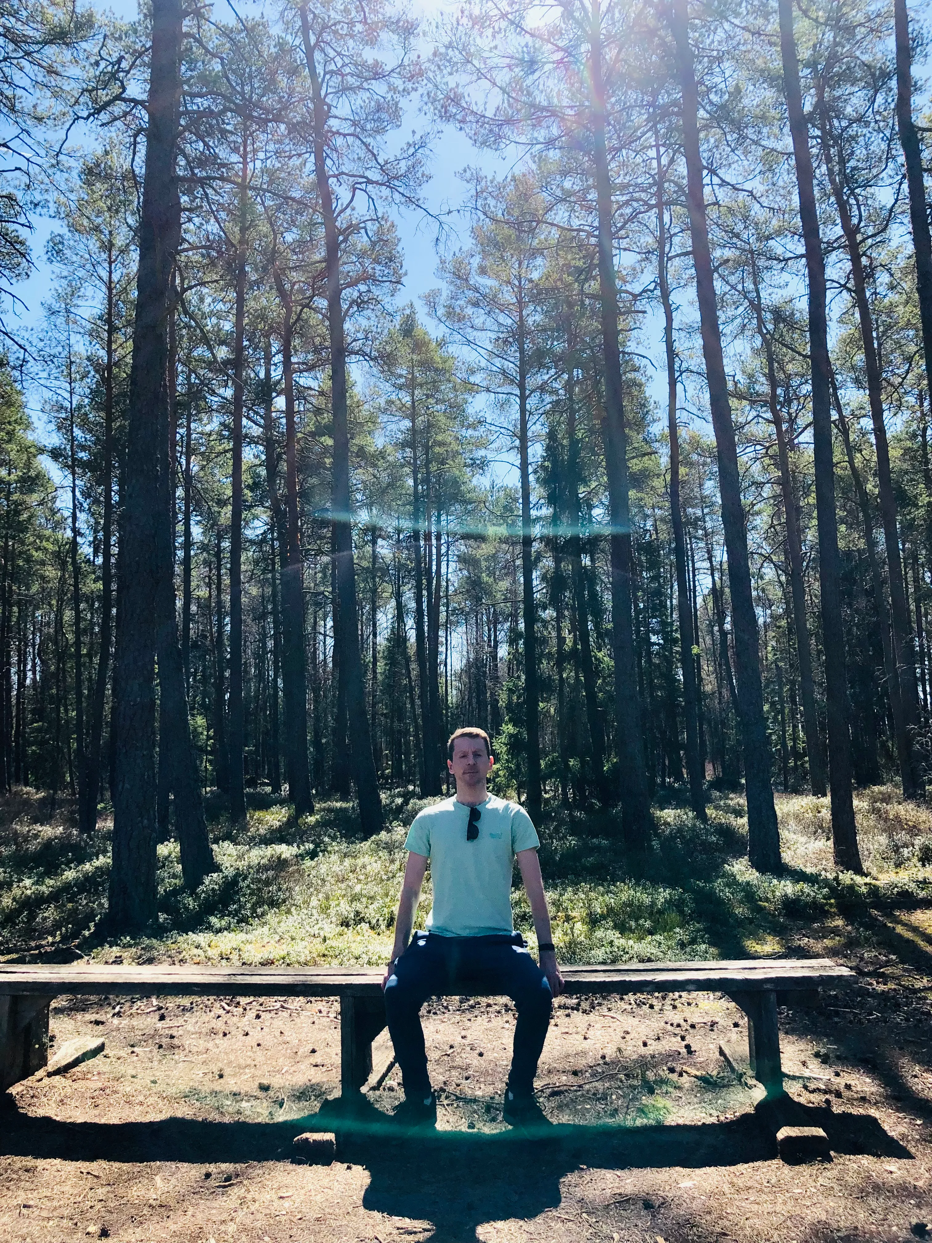 John seated in the middle of a big Swedish forest